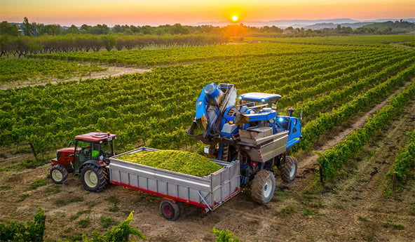 Neumáticos VX TRACTOR para tractores de viñedos y cultivo en hileras