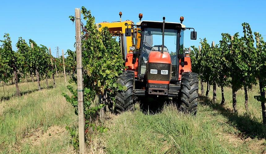 Tractor de viñedos para trabajos entre hileras