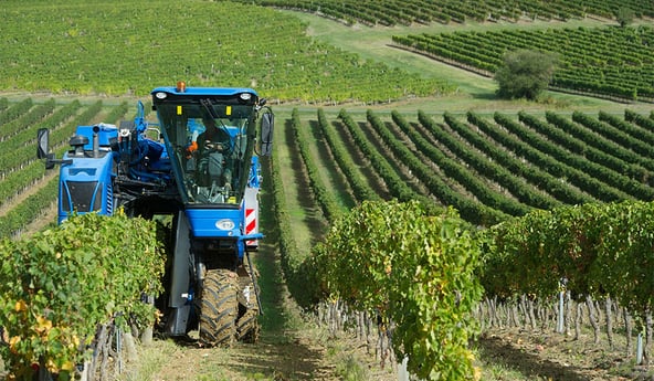 Ventajas de un buen neumático agrícola en viticultura o arboricultura