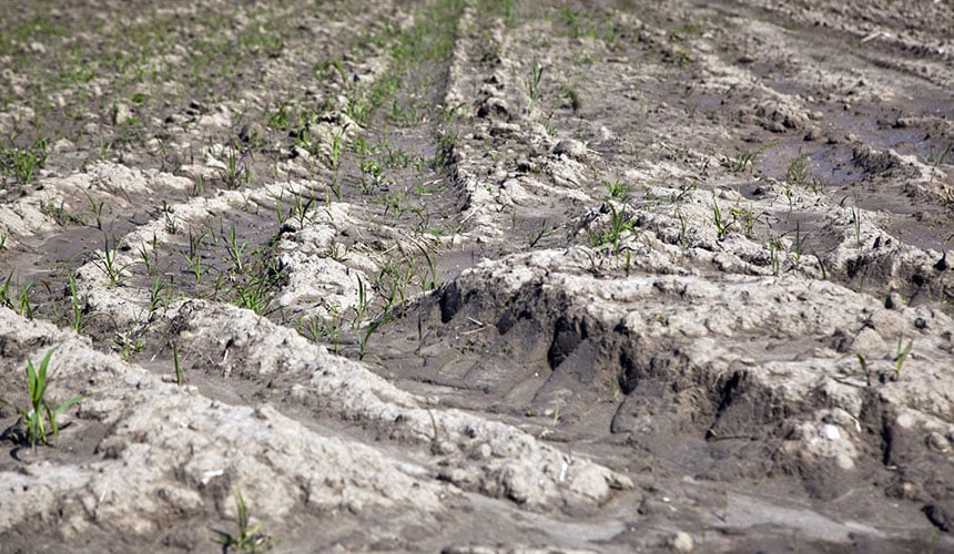 Erosión del suelo causada por las pasadas repetidas de maquinaria agrícola