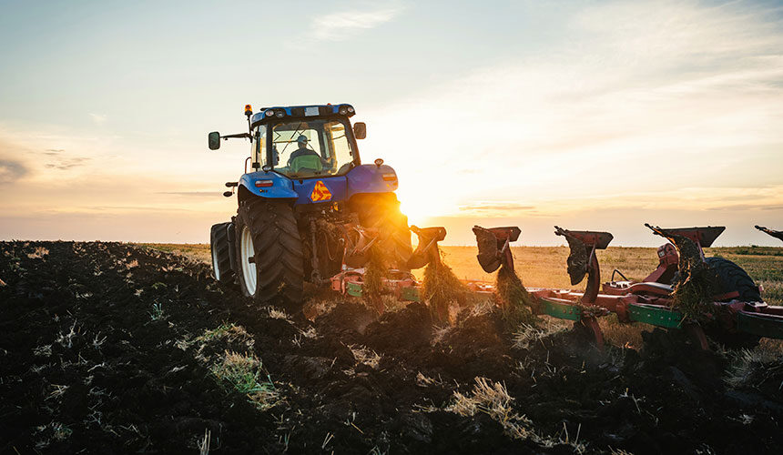 Descompactación de la capa arable mediante la labranza del suelo después de la cosecha