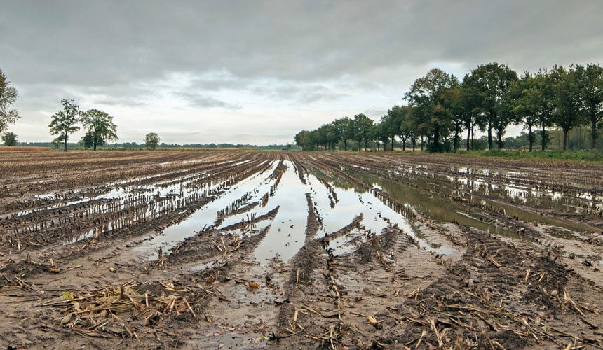 Suelo saturado de agua muy difícil de trabajar